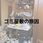 ゴミ屋敷とは？原因や対処方法を詳しく解説！